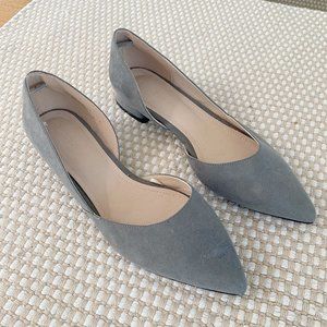 NWOT Blue Pointed Toe Flats